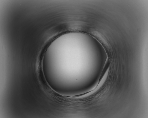 X0000094930583200712061131