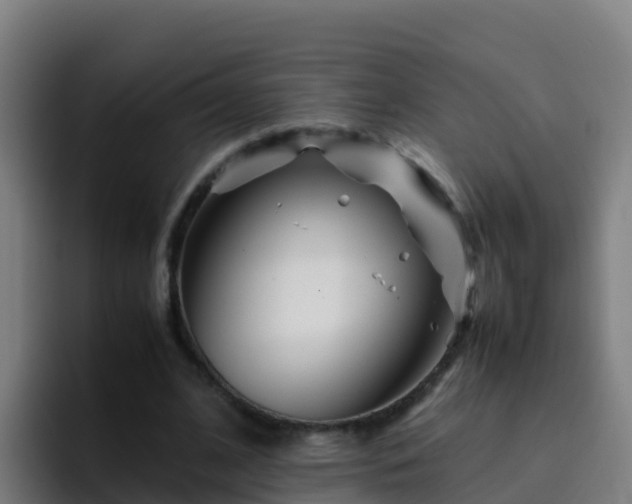 X0000094930584200712061131