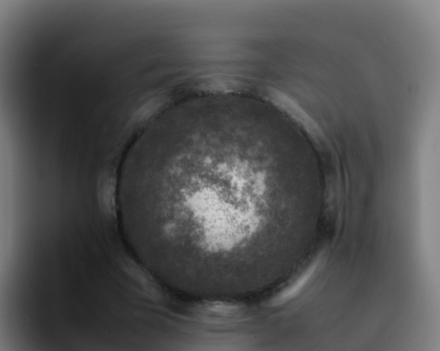 X0000094930585200712061131
