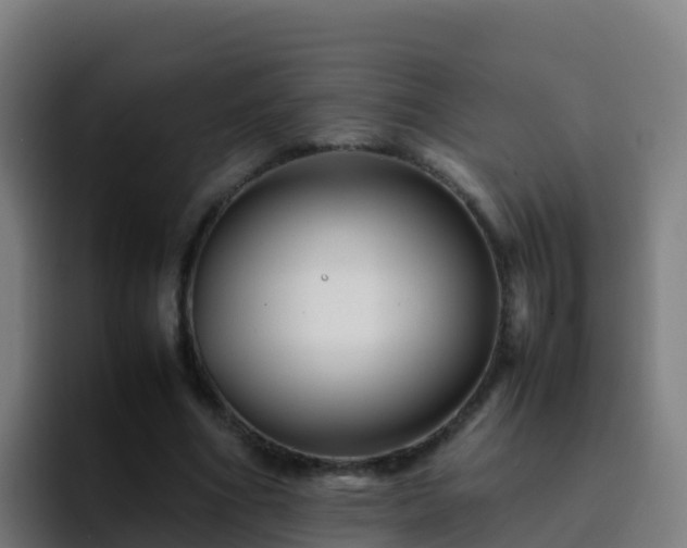 X0000094930586200712061131