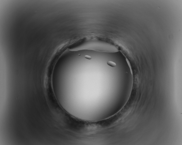 X0000094930587200712061131