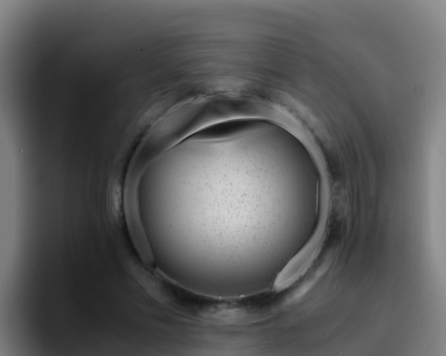 X0000094930589200712061131