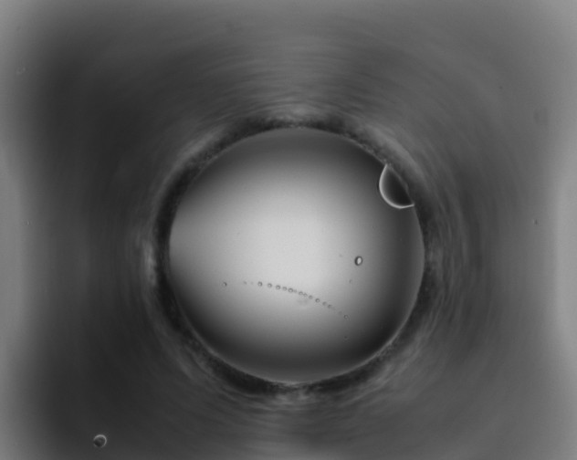X0000094930591200712061130