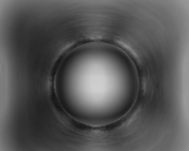 X0000094930592200712061130