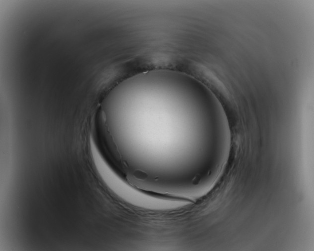 X0000094930593200712061130