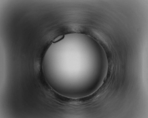 X0000094930595200712061130