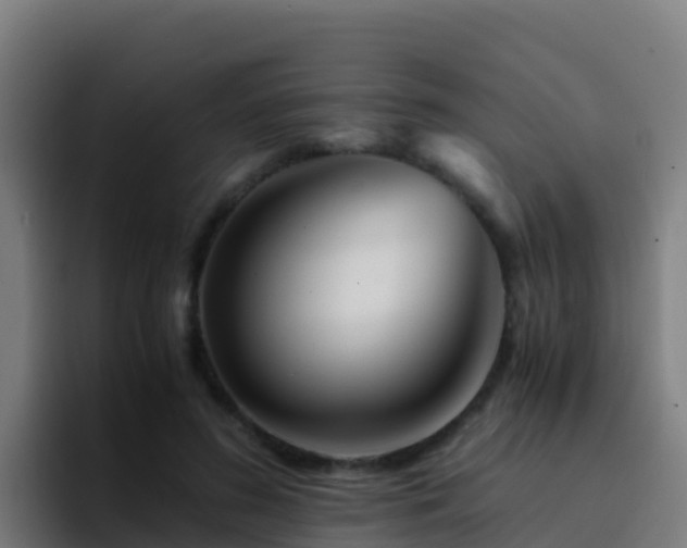 X0000094930596200712061130