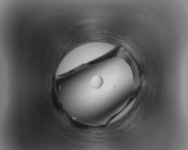 X0000094930597200712061130