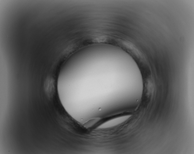 X0000094930598200712061130