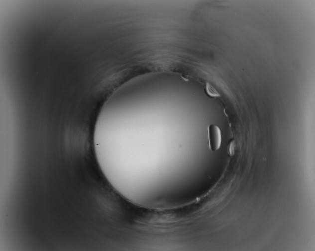 X0000094930599200712061130