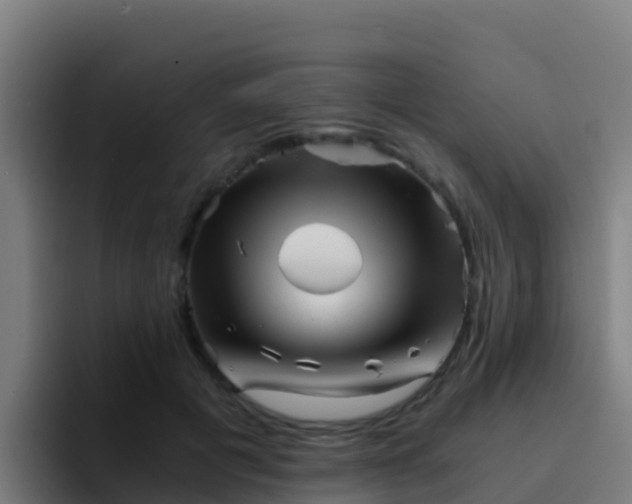 X0000094930601200712061130