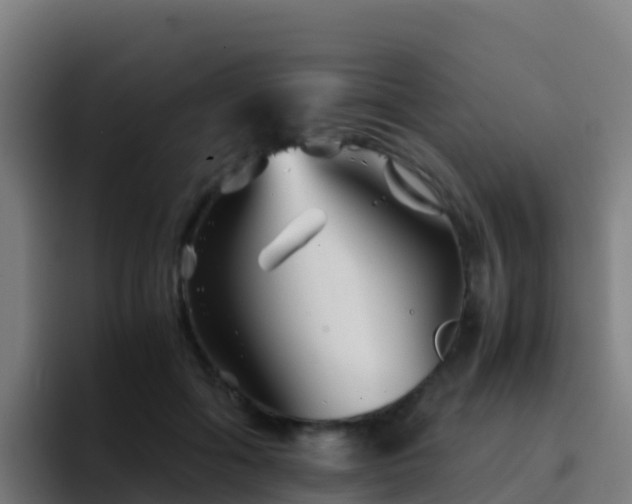 X0000094930602200712061130