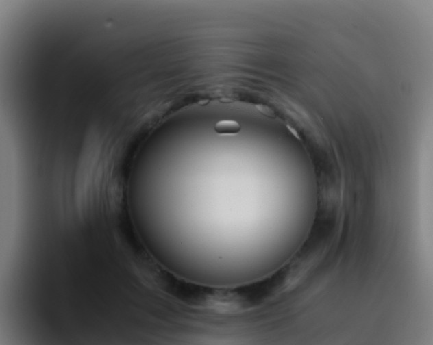 X0000094930603200712061130