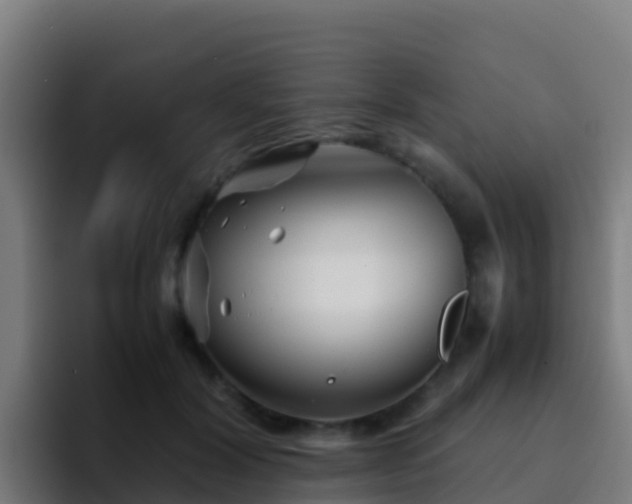 X0000094930604200712061130