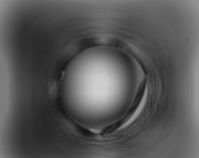 X0000094930605200712061130