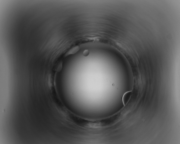 X0000094930606200712061130