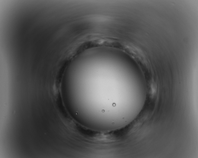 X0000094930607200712061130