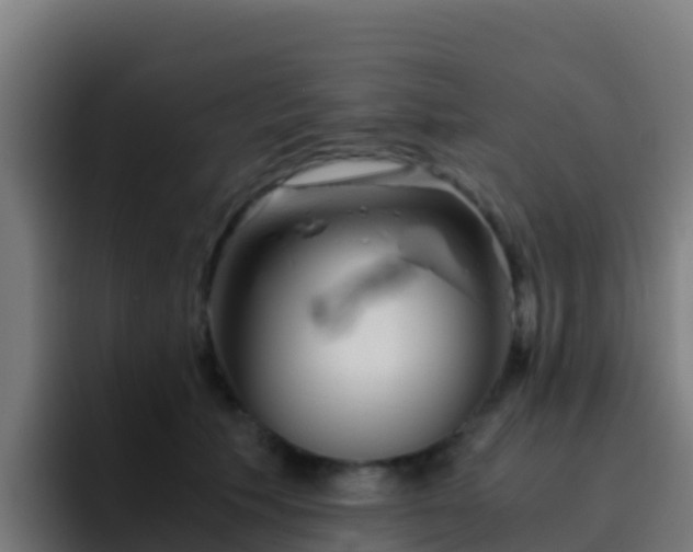 X0000094930609200712061130