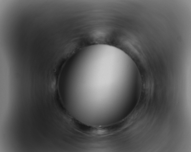 X0000094930610200712061130