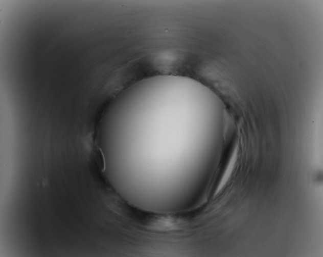 X0000094930611200712061130