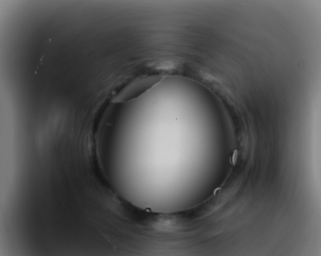 X0000094930612200712061130