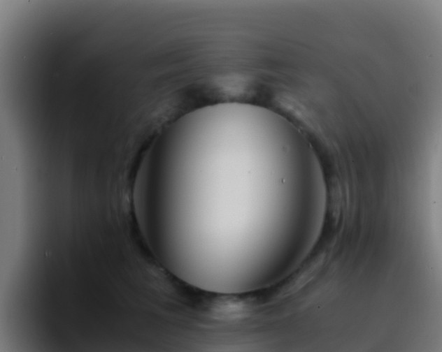 X0000094930613200712061130