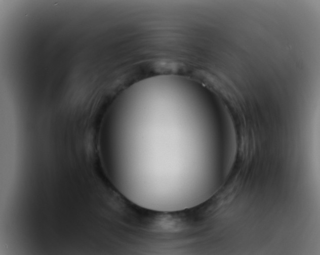 X0000094930616200712061130