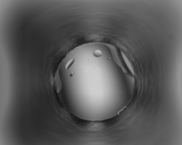 X0000094930617200712061130