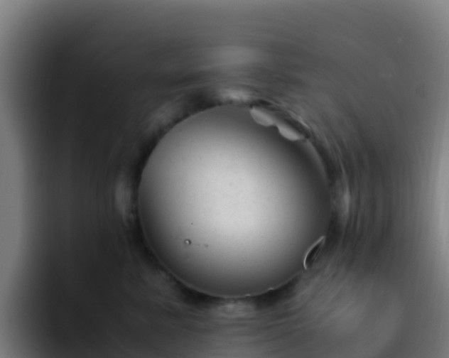 X0000094930619200712061130