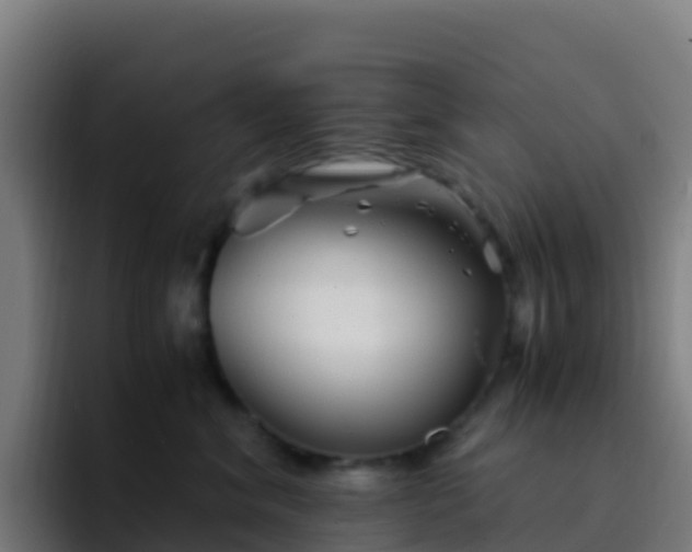 X0000094930620200712061130