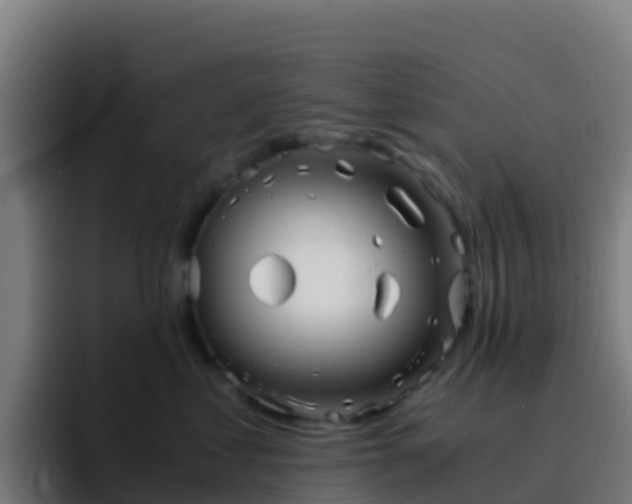 X0000094930621200712061130