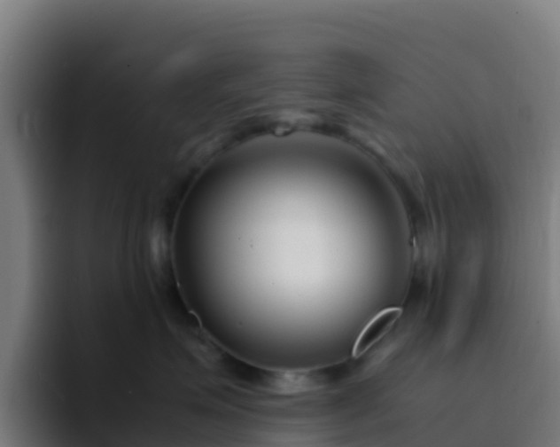 X0000094930623200712061130