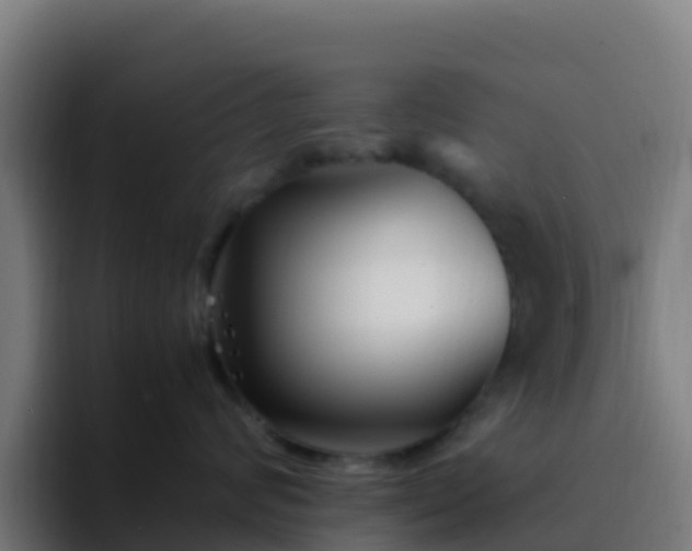 X0000094930624200712061130