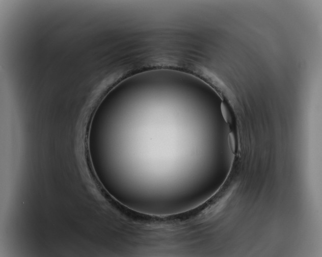 X0000094930625200712061129