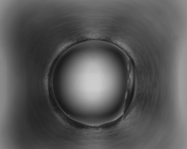 X0000094930626200712061129