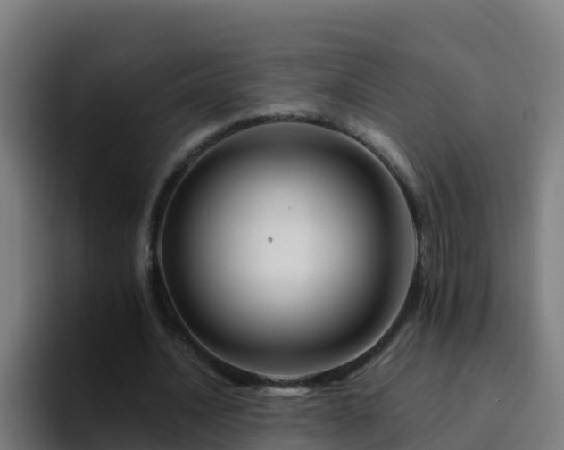 X0000094930628200712061129