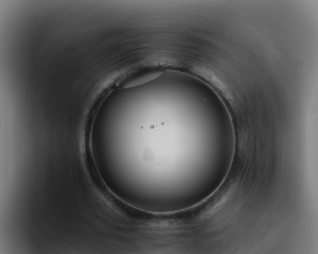 X0000094930629200712061129