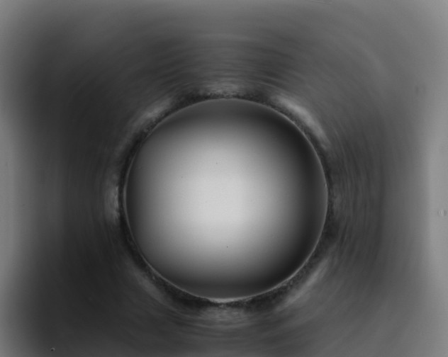 X0000094930633200712061130