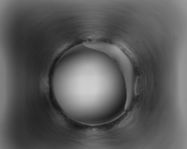 X0000094930634200712061130