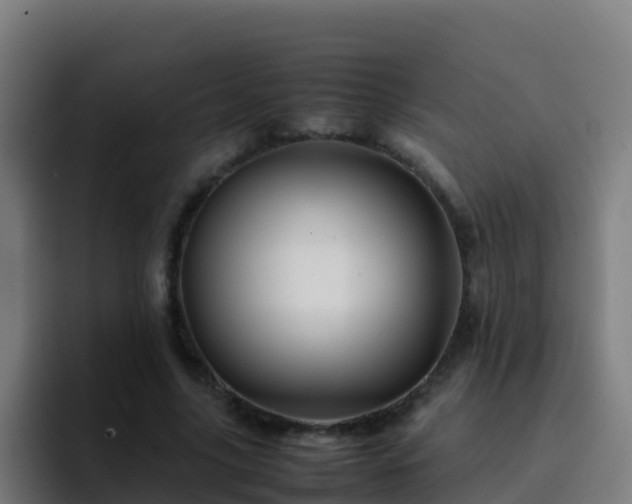 X0000094930635200712061130