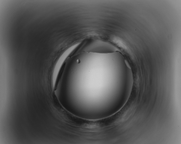 X0000094930639200712061130