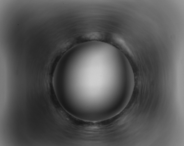 X0000094930643200712061130