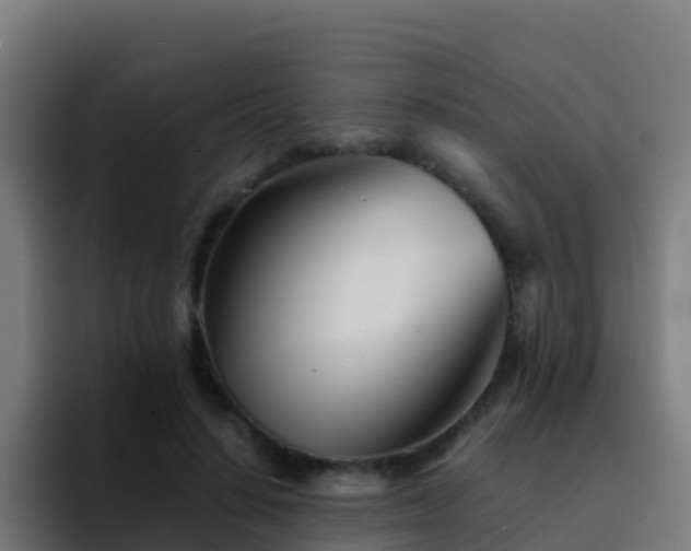 X0000094930644200712061130