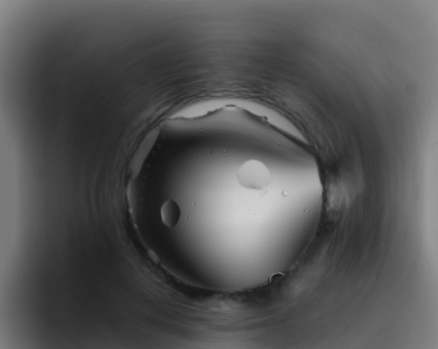 X0000094930648200712061130