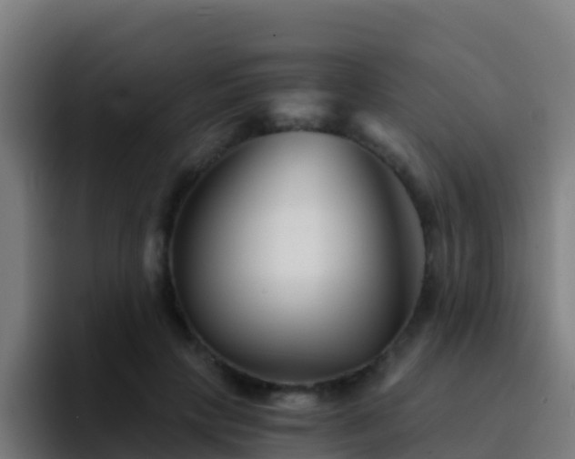 X0000094930649200712061130