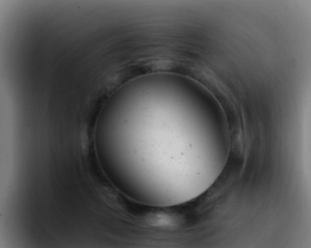 X0000094930655200712061130