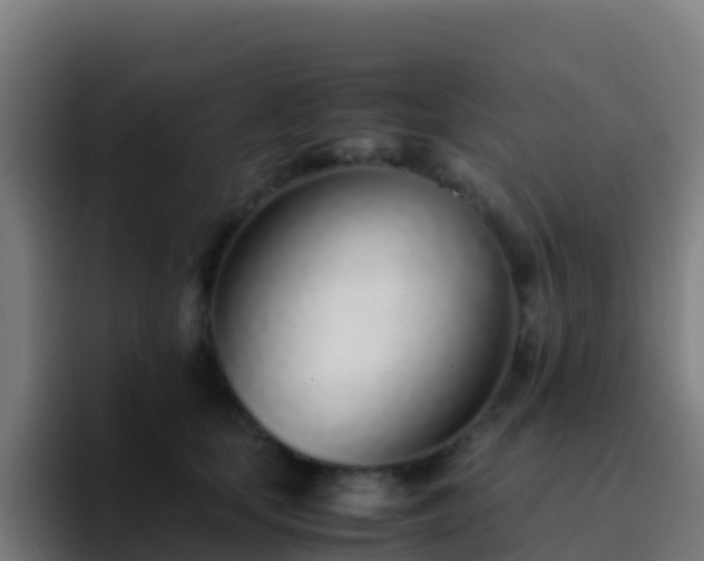X0000094930659200712061130