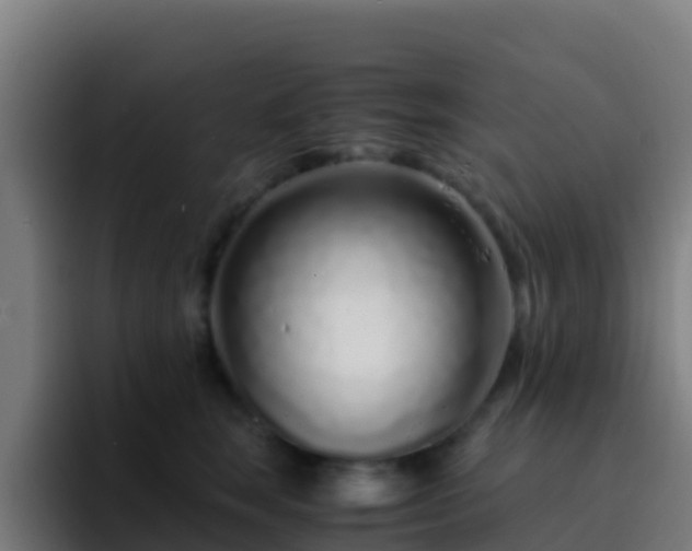 X0000094930663200712061130
