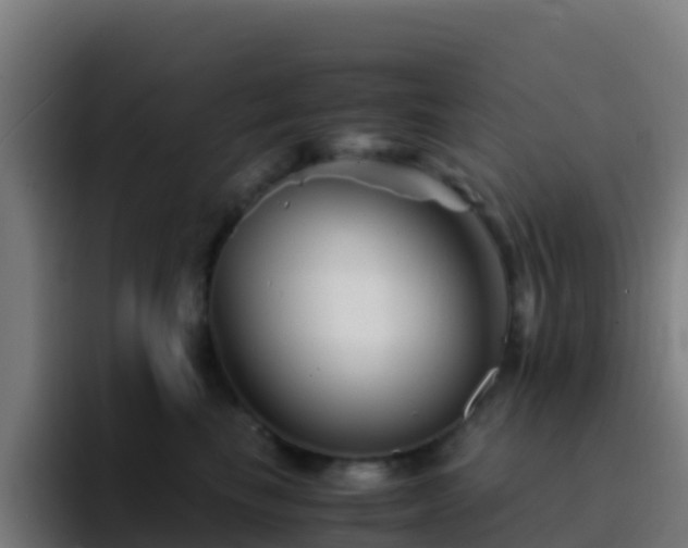 X0000094930665200712061130