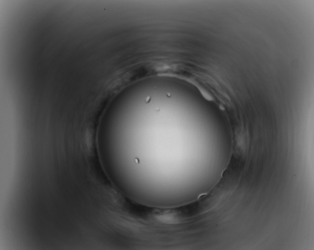 X0000094930667200712061130